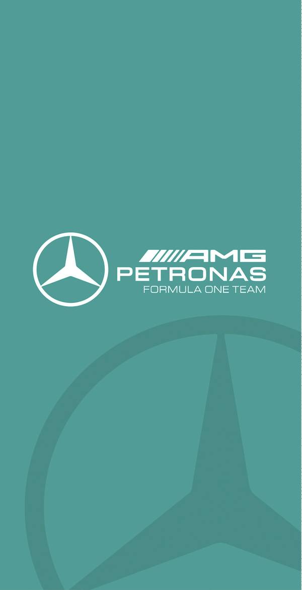 Хавлия Mercedes 